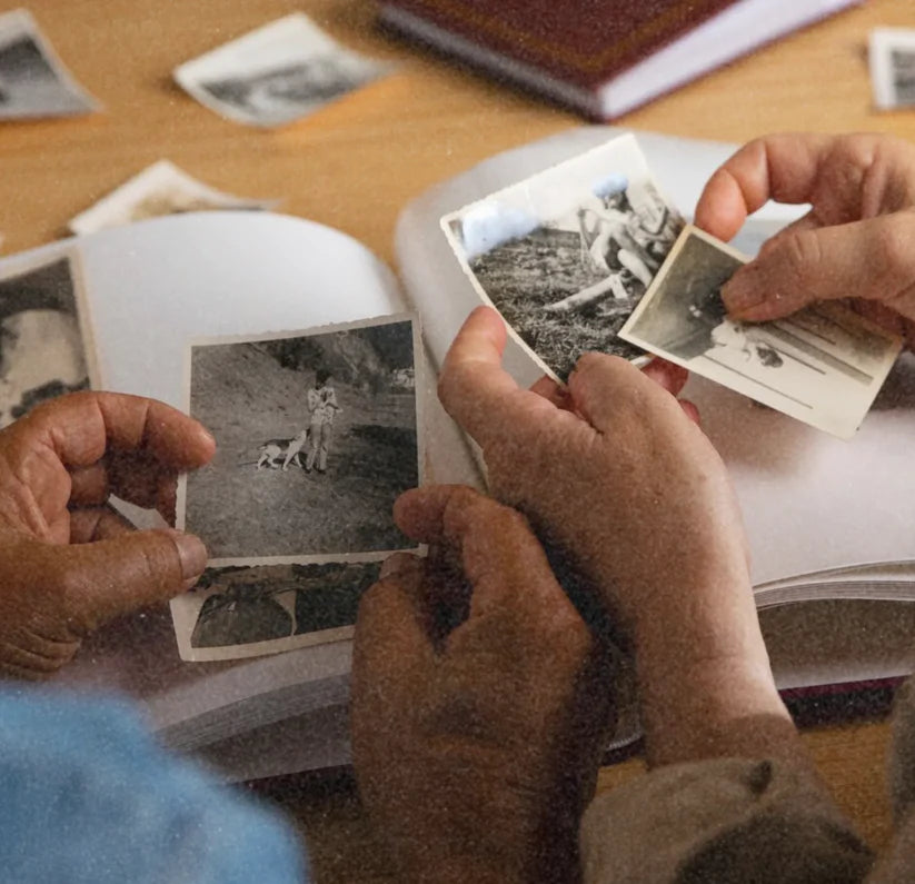 Let Your Memories Live Again